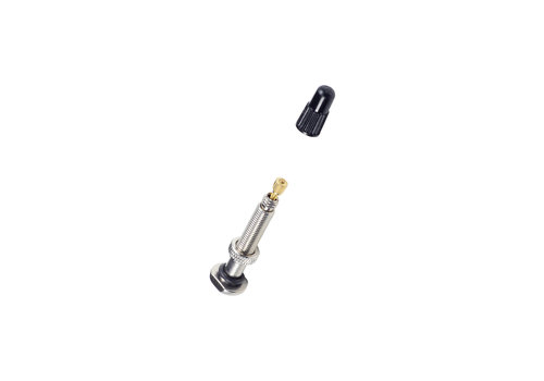 Bontrager Valve Stem