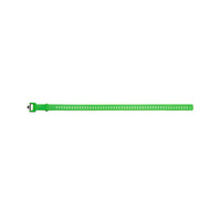 Ski Strap