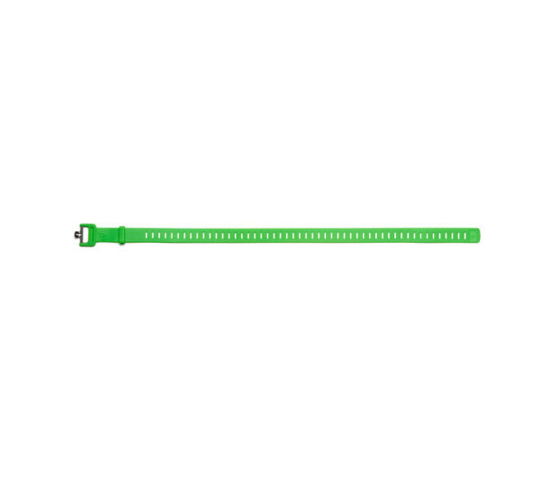 Ski Strap