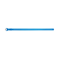 Ski Strap