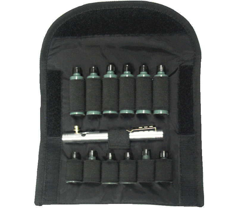 Deluxe Bear Kit