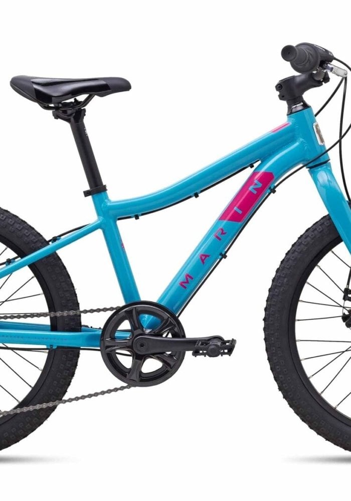 Teal and discount pink bike