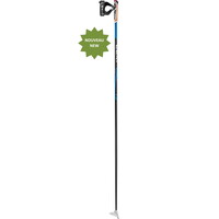 CC 450 Poles