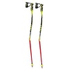 Leki WC Lite GS