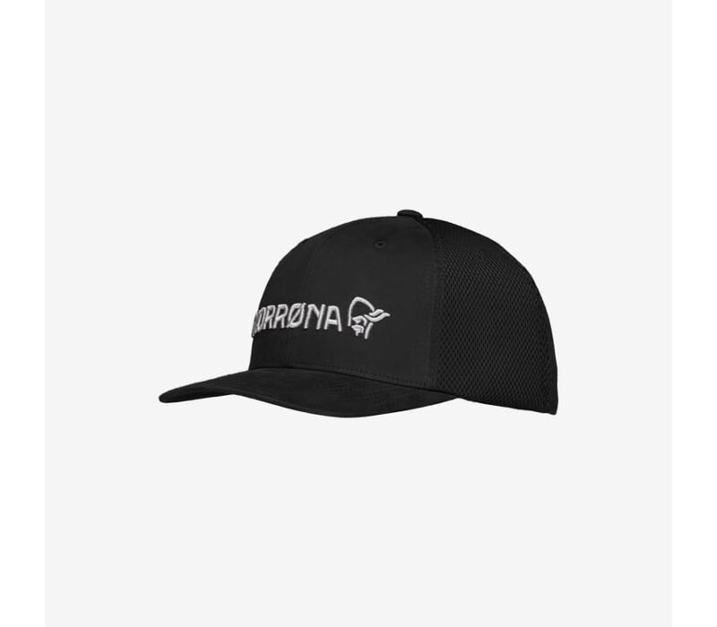 /29 3D mesh Flexfit Cap