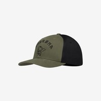 /29 3D mesh Flexfit Cap