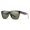 Smith Optics Lowdown 2