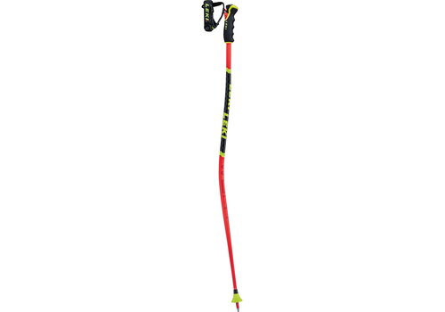 Leki WCR Lite GS 3D