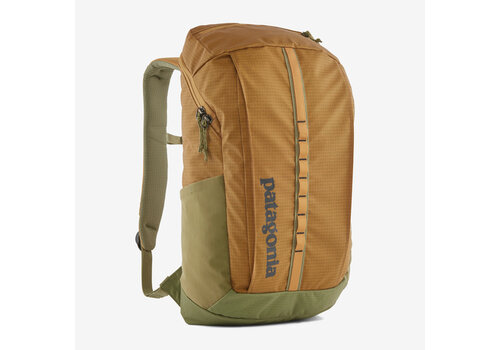 Patagonia Black Hole Pack 25L
