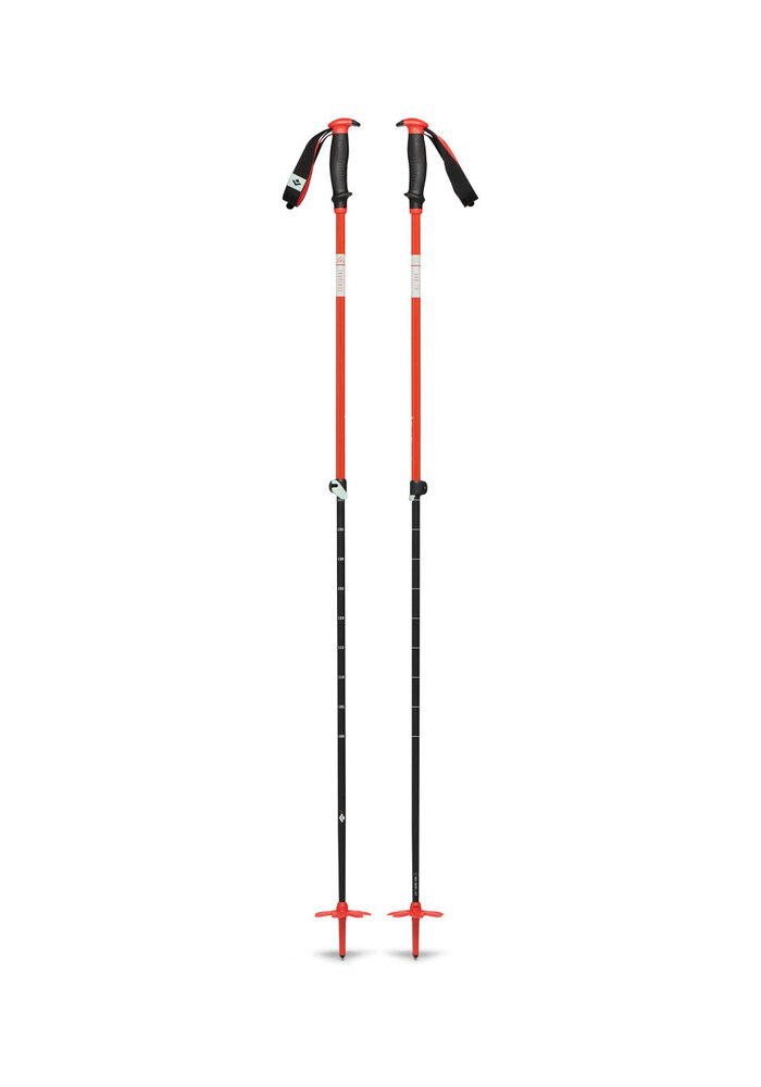 Traverse Ski Poles