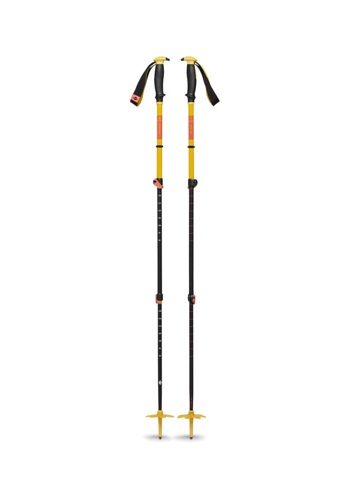 Traverse 3 Ski Poles