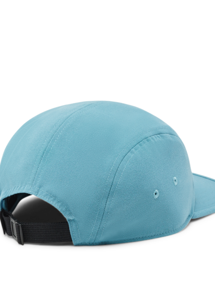 Llama Stripes 5 Panel Hat