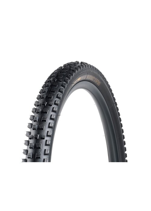 Bontrager Galbraith RSL SE TLR MTB Tire