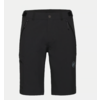 Mammut M's Runbold IV Shorts