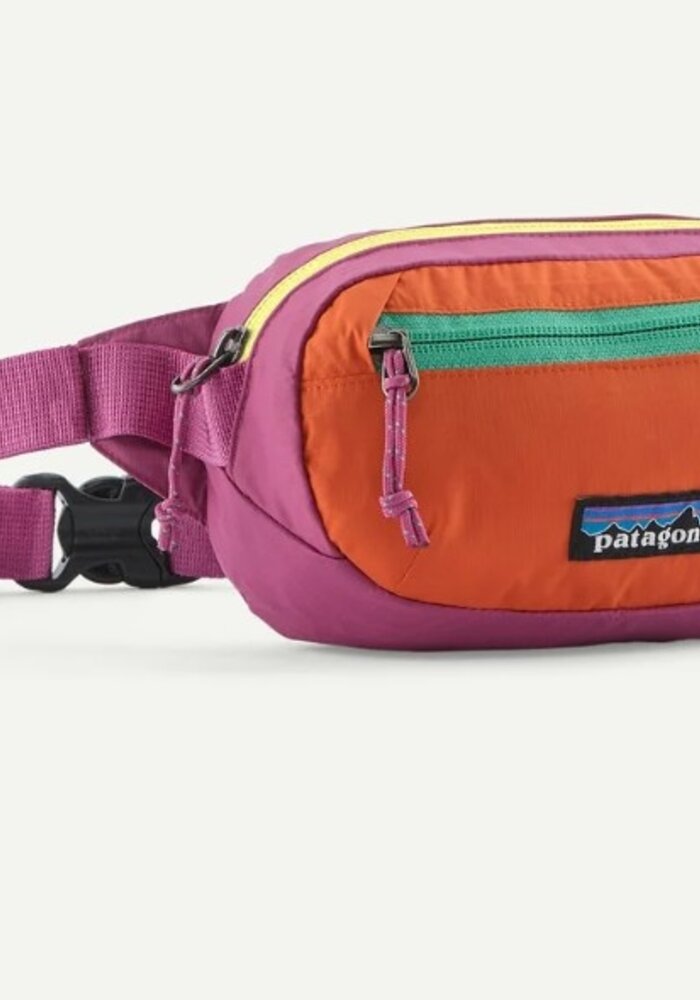 Terravia Mini Hip Pack