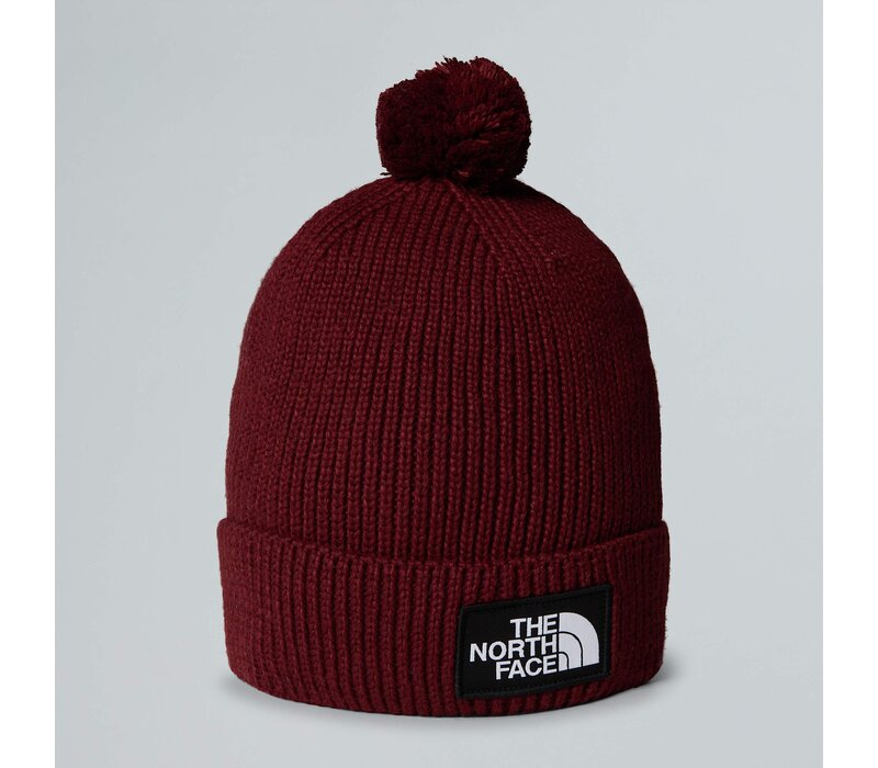 TNF Logo Box Pom Beanie