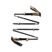 Trail Vista FLZ Trekking Poles