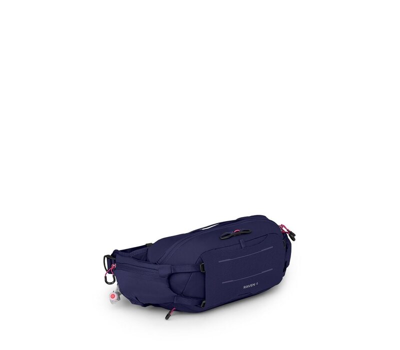 Raven 4 w-res