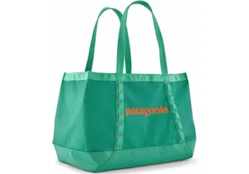 Patagonia Black Hole Tote 25L