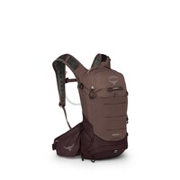 Raven 10 w-res