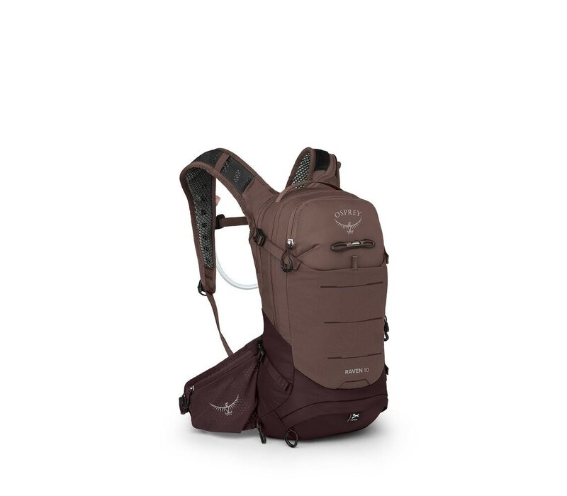 Raven 10 w-res