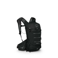 Raven 10 w-res