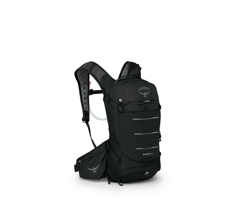 Raven 10 w-res