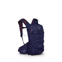 Raven 10 w-res
