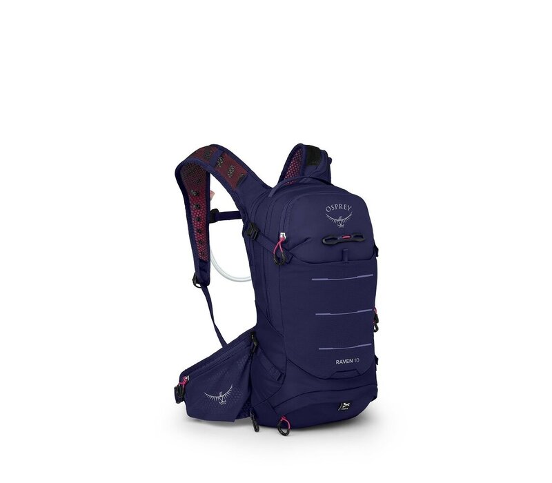 Raven 10 w-res