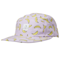 Solar 5 panel
