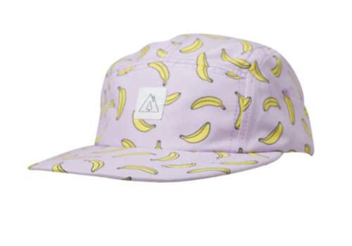 Ambler Solar 5 panel