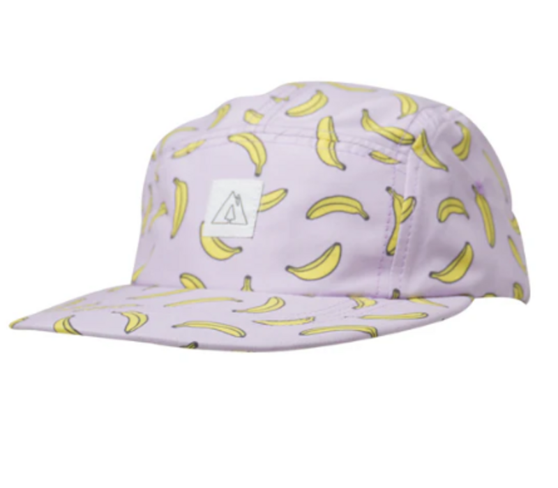 Solar 5 panel