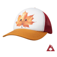 Mini Maple