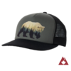 Ambler Grizzly