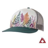Fern