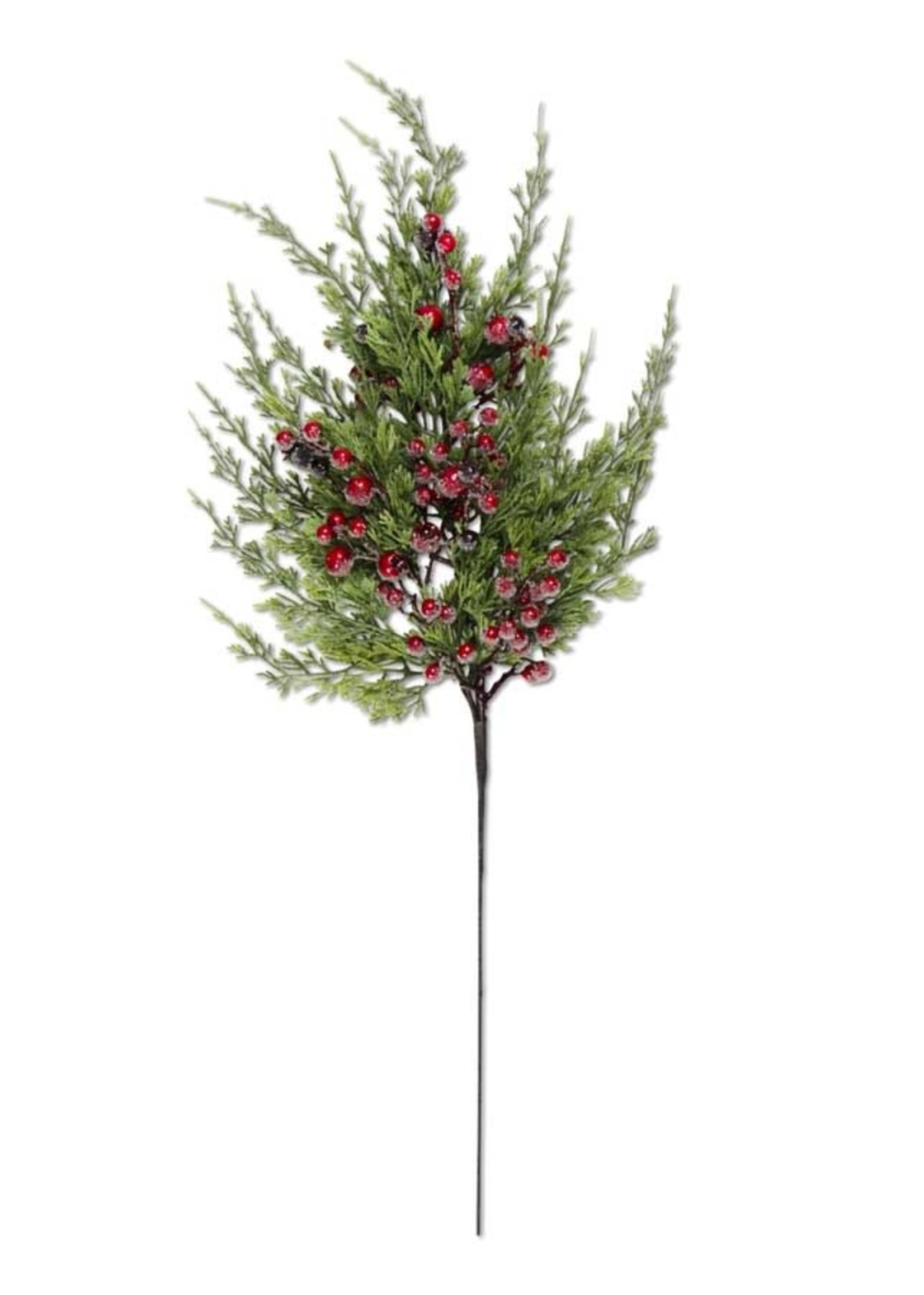 24 Inch Cypress Pine w Dark Red Iced Berry Stem