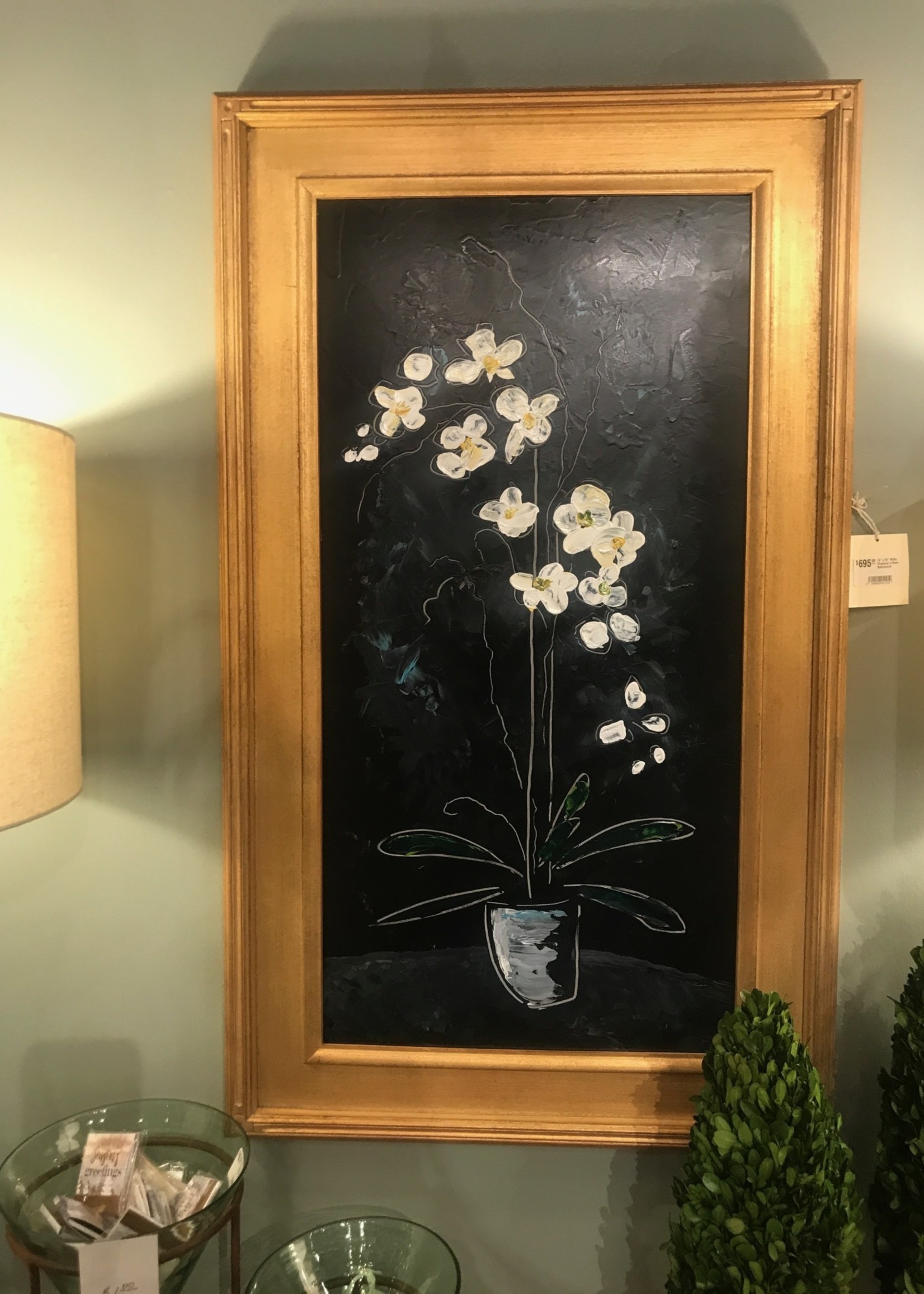 Scott Ellis 16" x 30" White Orchid w Black Background