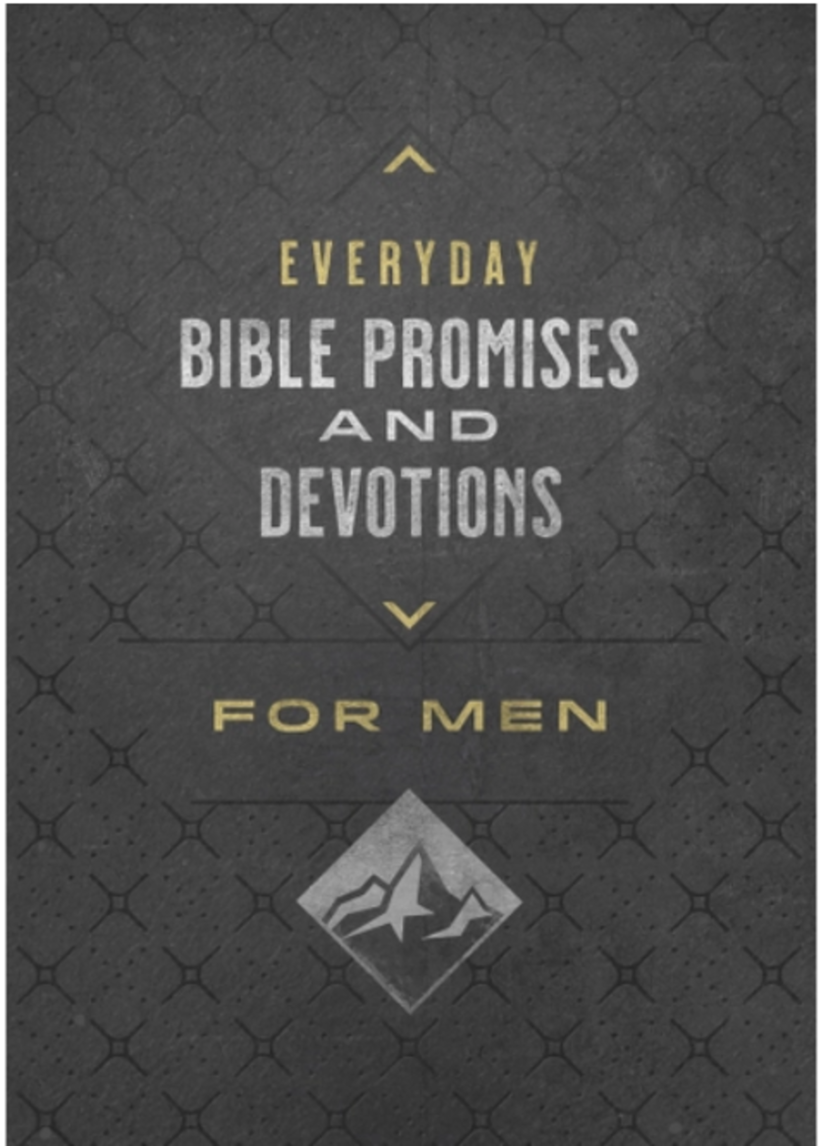 Barbour Publishing Inc. Everyday Bible Promises and Devotions for Men