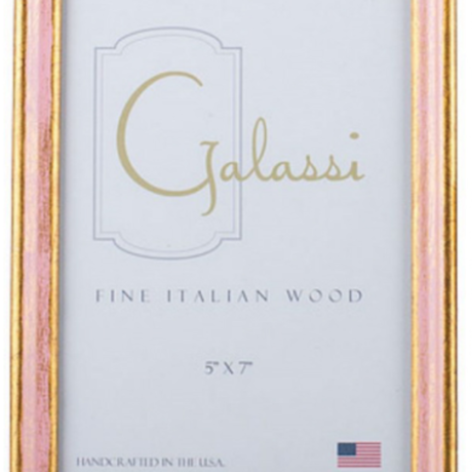 Galassi Pink/Gold Florentine Frame 4x6
