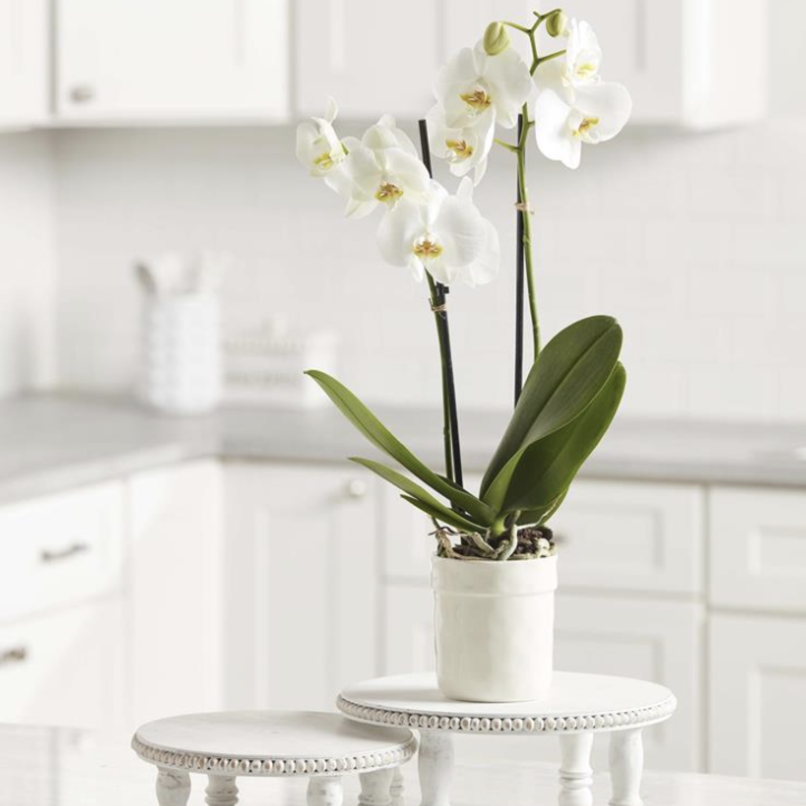 Mud Pie White Beaded Pedestal Tray - Large