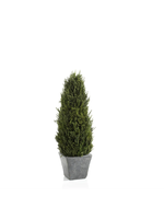 Zodax Cypress Tree Topiary Medium