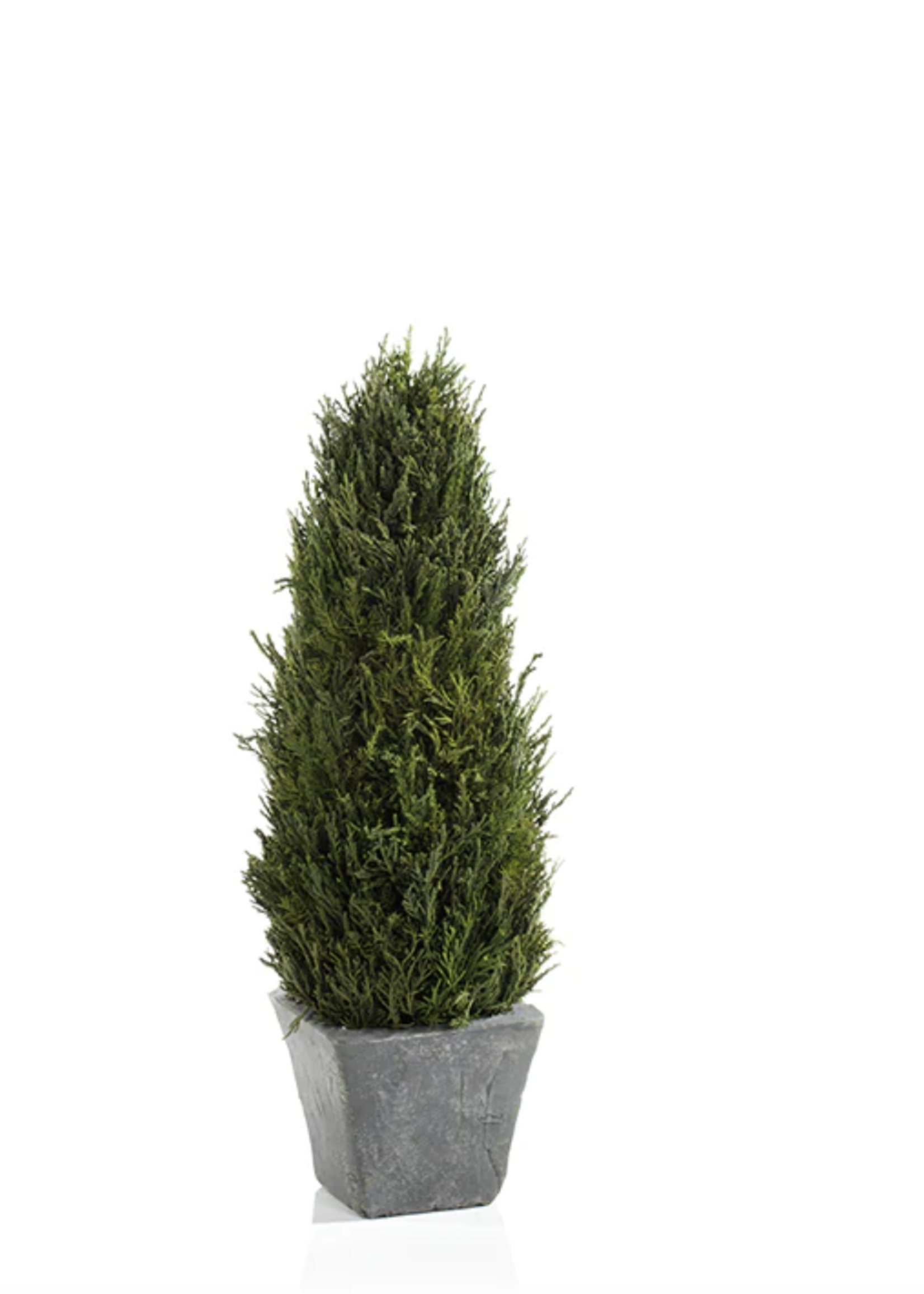 Zodax Cypress Tree Topiary Medium