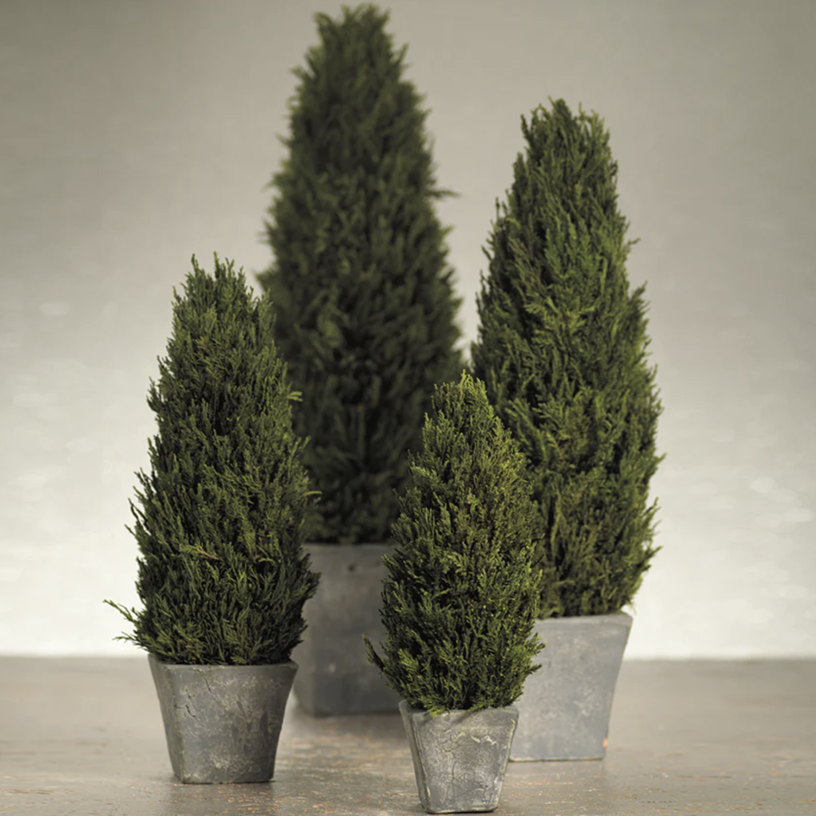 Zodax Cypress Tree Topiary Medium