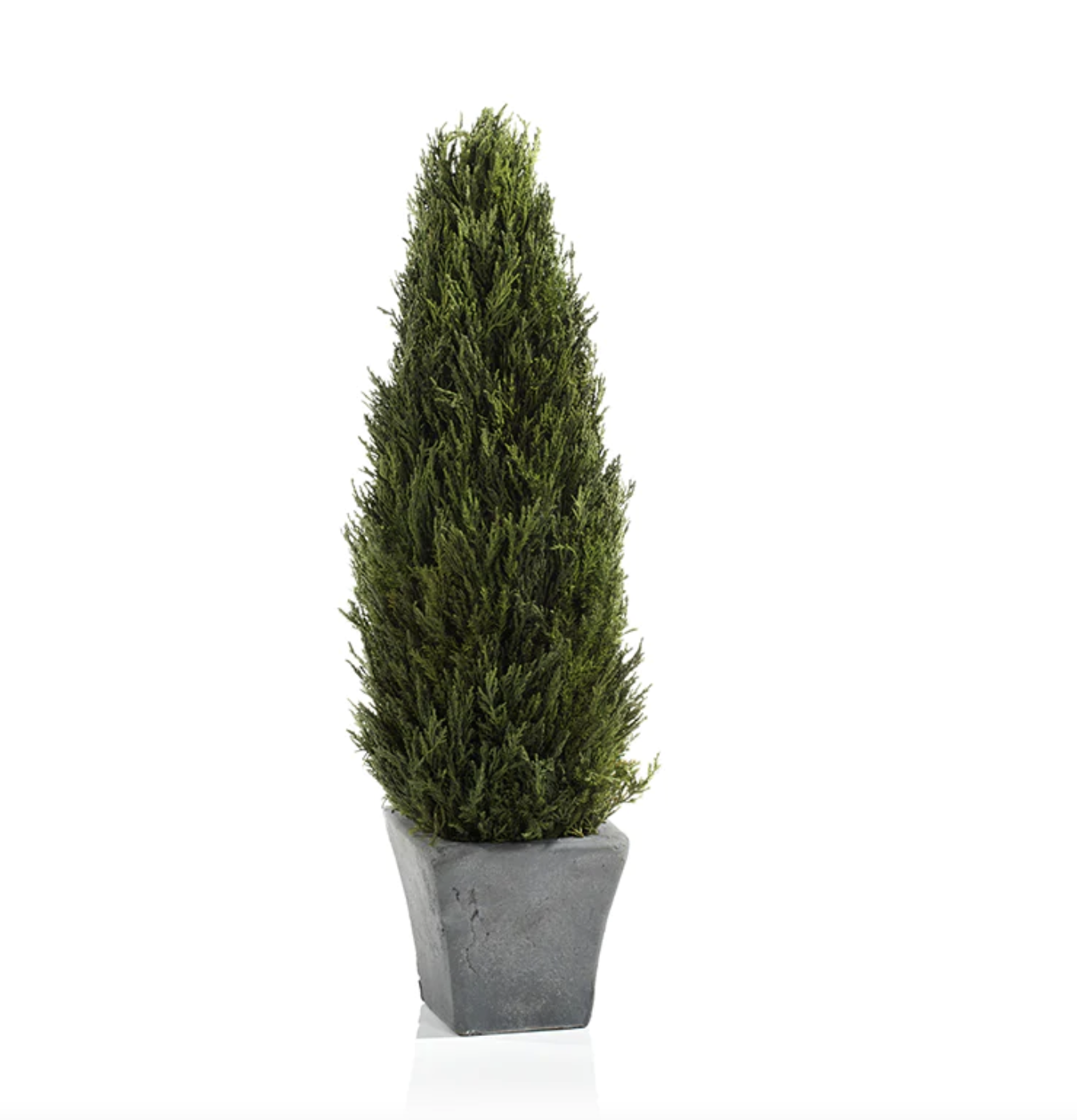 Zodax Cypress Tree Topiary Large - Oak & Willow