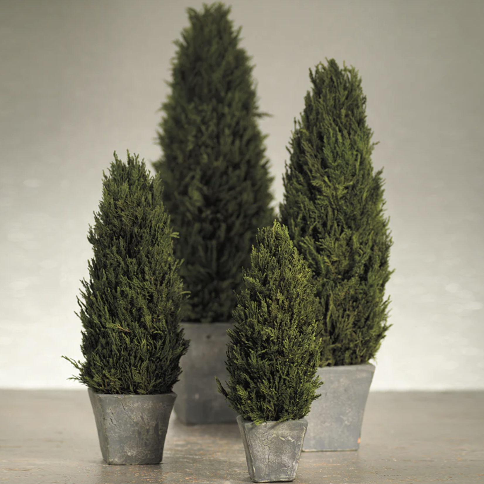 Zodax Cypress Tree Topiary Large