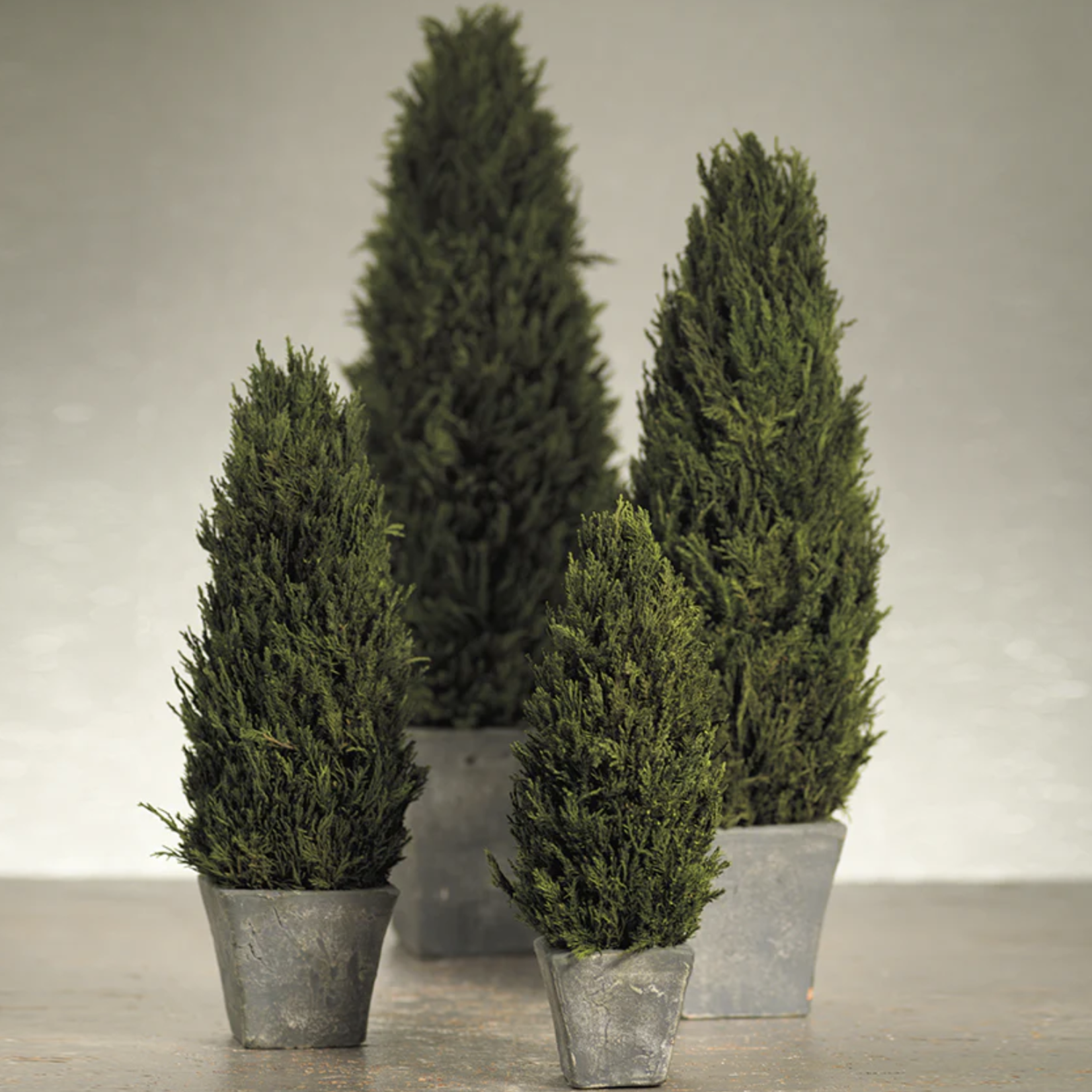 Zodax Cypress Tree Topiary Extra Large