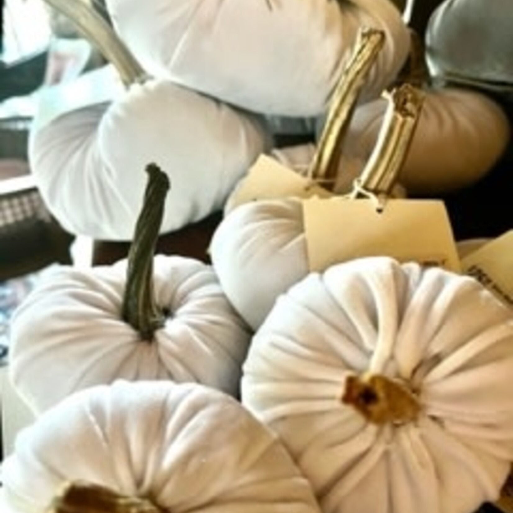 Velvet Pumpkin White 4"