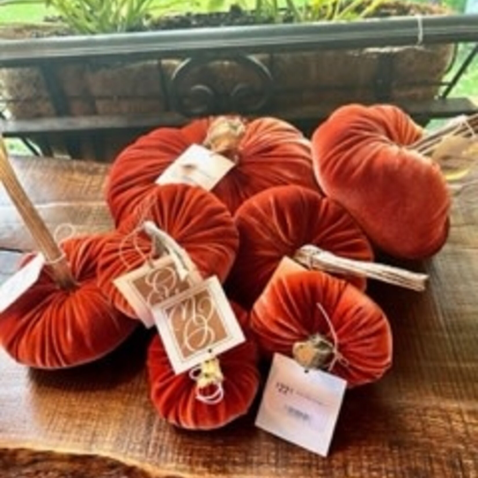 Oak & Willow Velvet Pumpkin Rust 5"