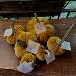 Oak & Willow Velvet Pumpkin Gold 5"