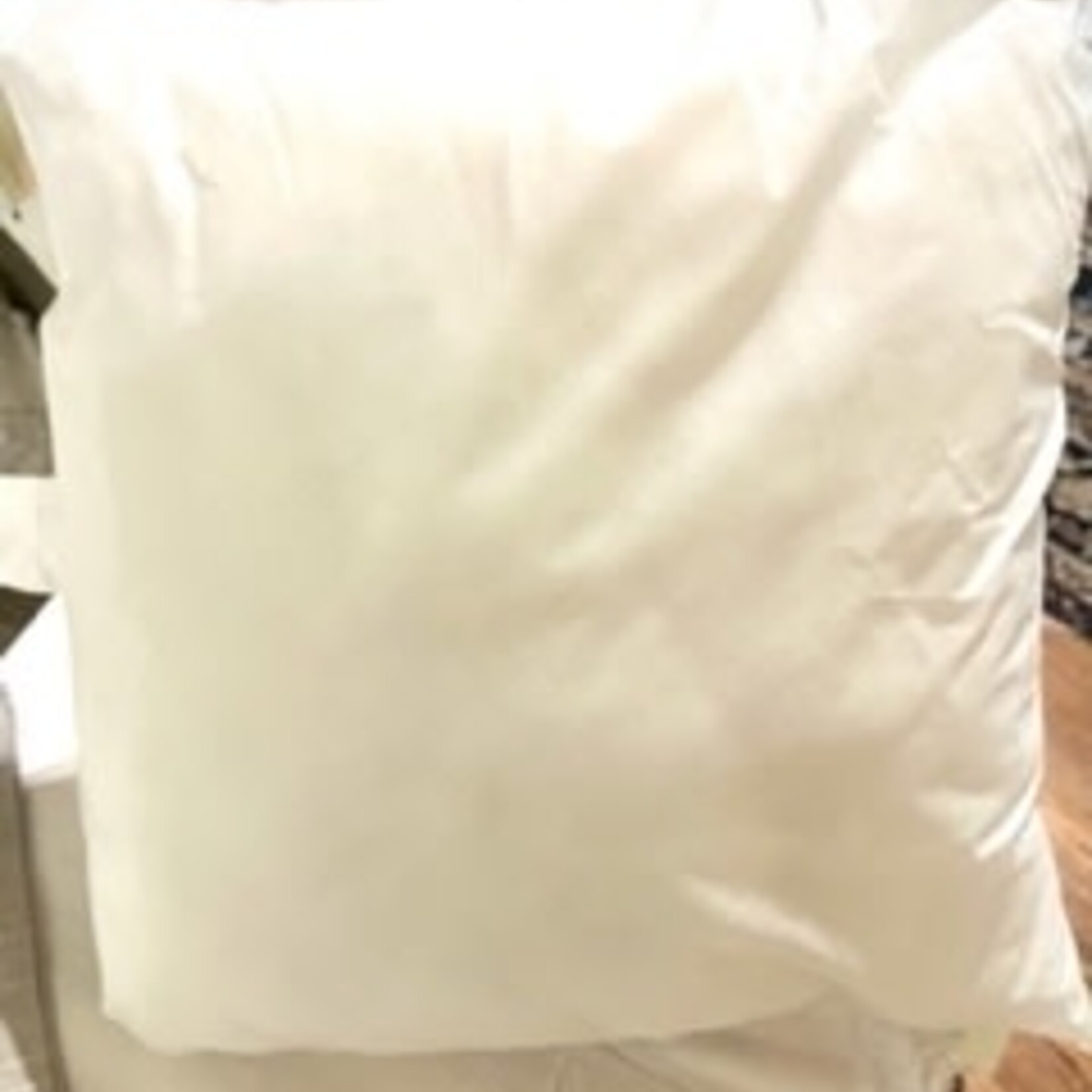 Pillow Insert 20"x20"